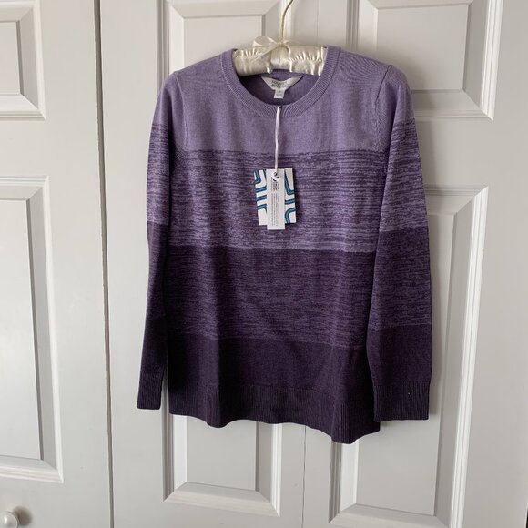 Market & Spruce Sorian Ombre Sweater Small NWT - Picture 1 of 3